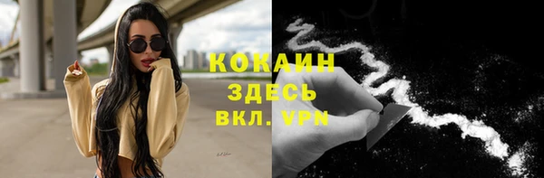 твердый Гусь-Хрустальный