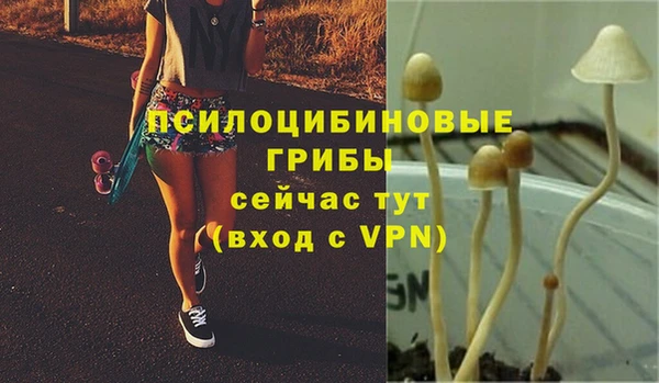твердый Гусь-Хрустальный