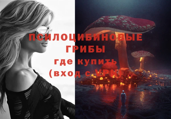 твердый Гусь-Хрустальный