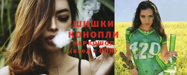 Альфа ПВП Щучье