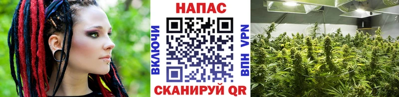 Бошки Шишки Bruce Banner  цены   Малоархангельск 